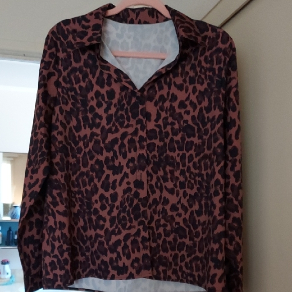 Leopard Print Long Sleeve Blouse